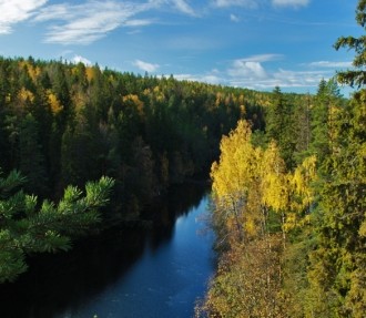 Finland, forest industry, forests, recreation, environment, sustainability, Metso, Stora Enso, Ponsse, UPM, Metsä Group, bioenergy, bio-oil