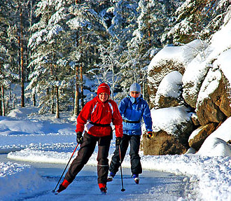 industrial forestal finlandesa, uso recreativo, conservación, legislación forestal, certificación forestal, Finlandia