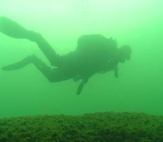 Finnisches Programm zur Bestandsaufnahme der Unterwasserwelt, VELMU, Ostseeaktionsgruppe, Finnischer Meerbusen, Schärenmeer, Bottnischer Meerbusen, Helsinki, St Petersburg