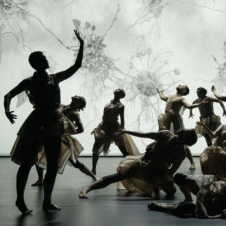 A dozen dancers pose, looking upward, in front of a white background with drawings of roots and leaves.