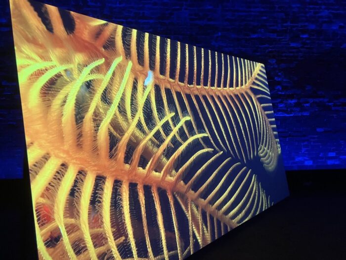 Em uma sala com paredes azuis escuras, uma enorme tela mostra criaturas subaquáticas ou plantas amarelas e alaranjadas.